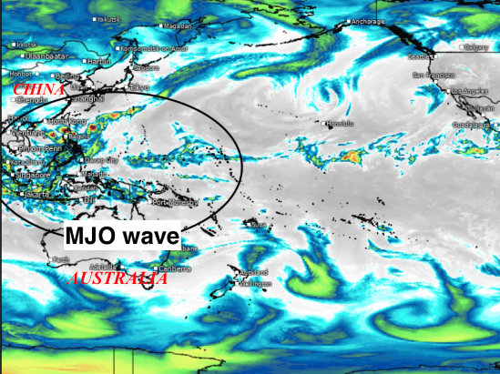 How the MJO, not just El Niño is influencing global commodity weather
